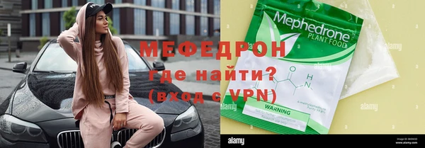 мдпв Ельня