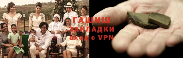 мдпв Ельня