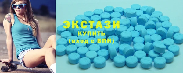 мдпв Ельня