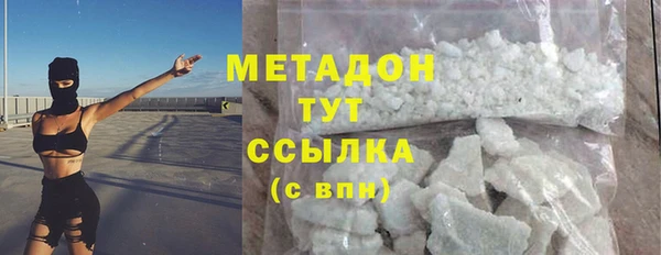 мдпв Ельня