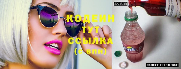 мдпв Ельня