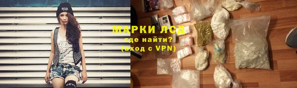 мдпв Ельня