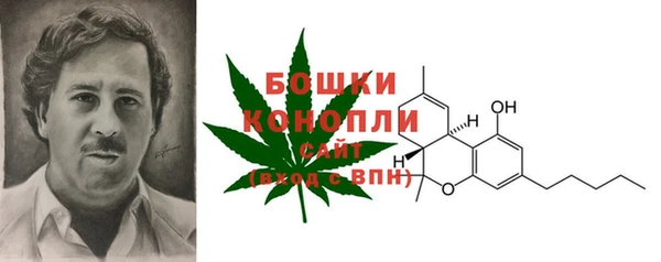 мет Елизово