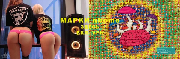мдпв Ельня
