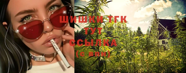 мдпв Ельня