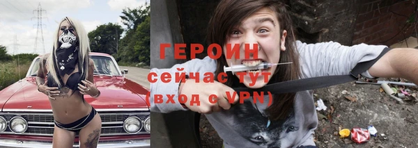 мдпв Ельня