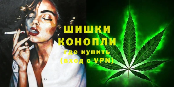 мдпв Ельня
