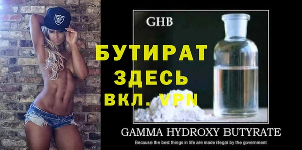 мдпв Ельня