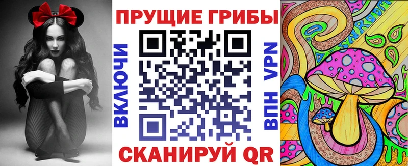 Галлюциногенные грибы Magic Shrooms  Купить где  Ноябрьск 